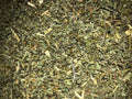 Damiana Powder (Turnera diffusa) (Leaf)